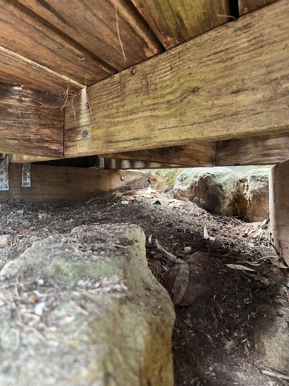 Looking under the timber stairs: joists and bearers sitting just above damp soil and leaf litter, with a dark rotted board end